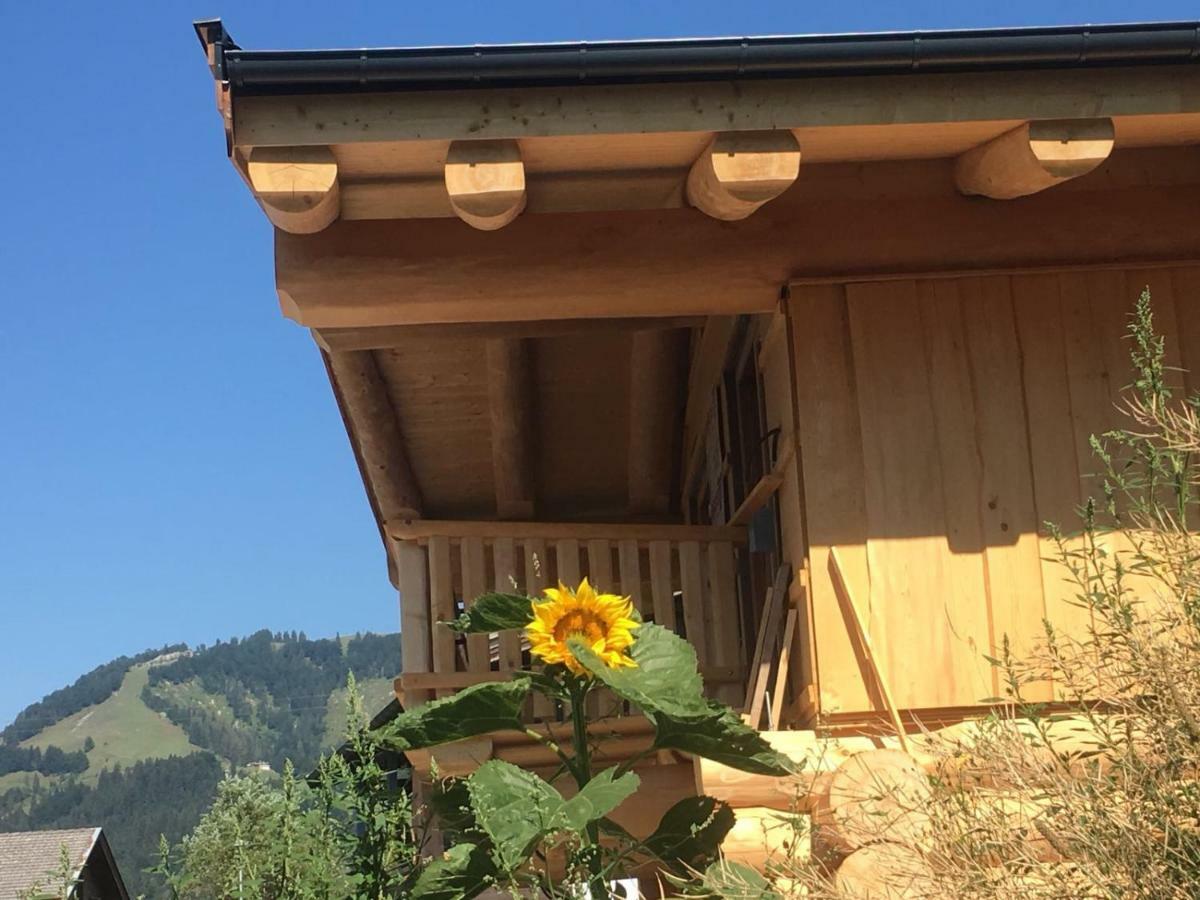 Chalet Karin Hochfilzen Exterior foto